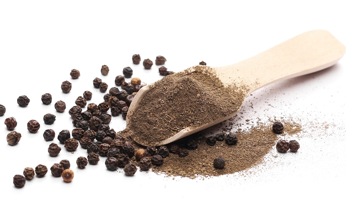 Black Pepper Powder Manufacturer Exporter Mahuva Gujarat India