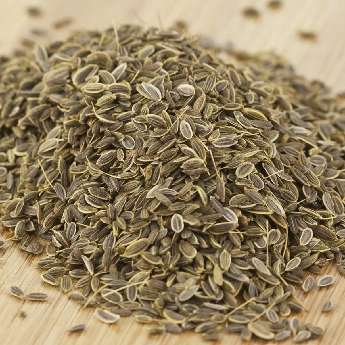 Dill Seeds Supplier India from Mahuva Gujarat