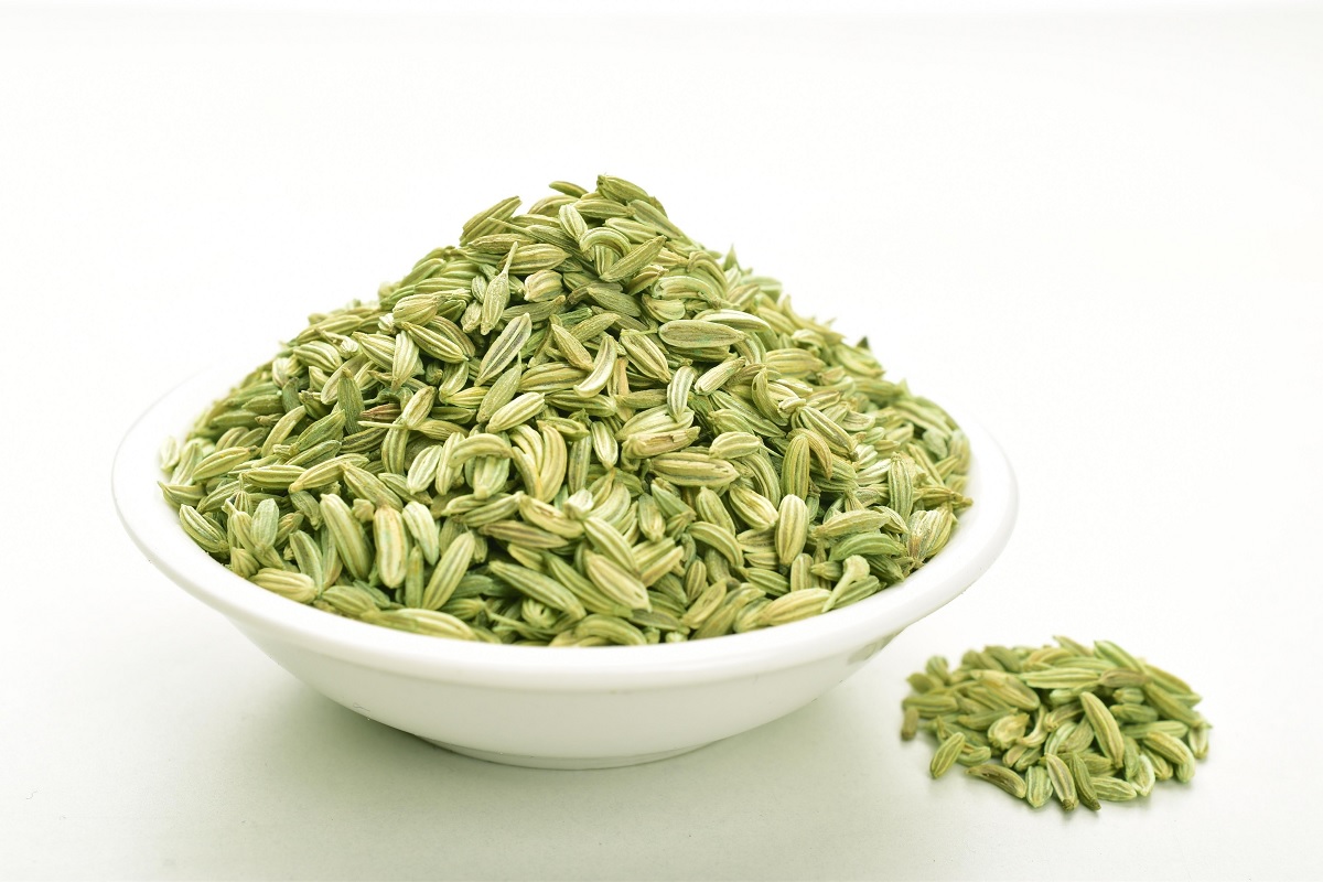 Fennel Seeds Saunf Manufacturer Exporter Supplier Mahuva Gujarat India