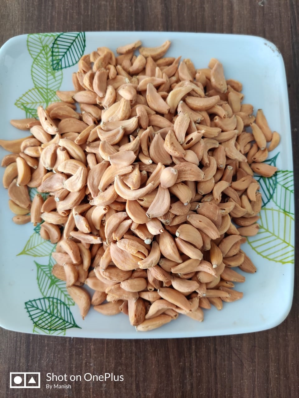 Premium Dehydrated Garlic Flakes from Mahuva Gujarat India
