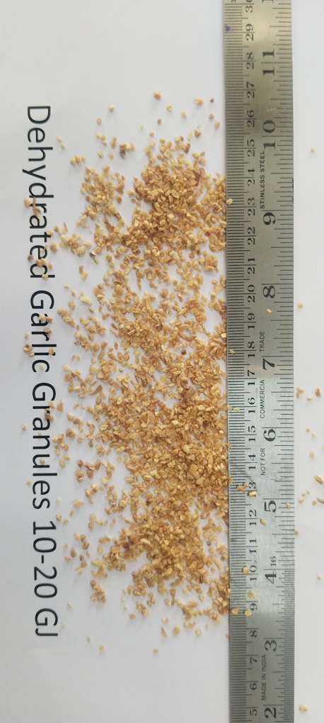 Garlic Granules Manufacturer India