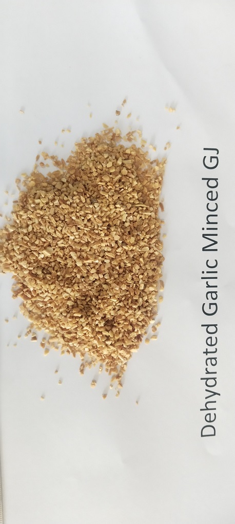 Garlic Minced Gujarat