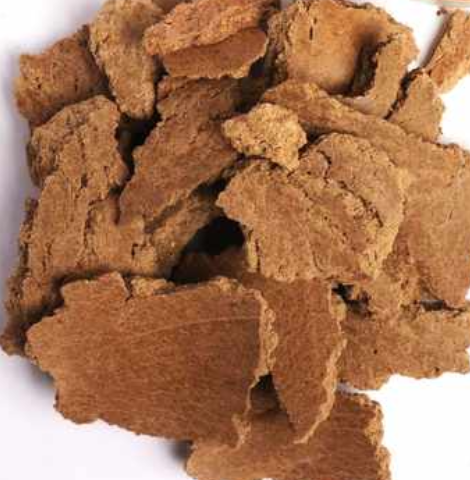 Groundnut Meal Peanut Oil Cake Export Mahuva Gujarat India Arachis hypogaea