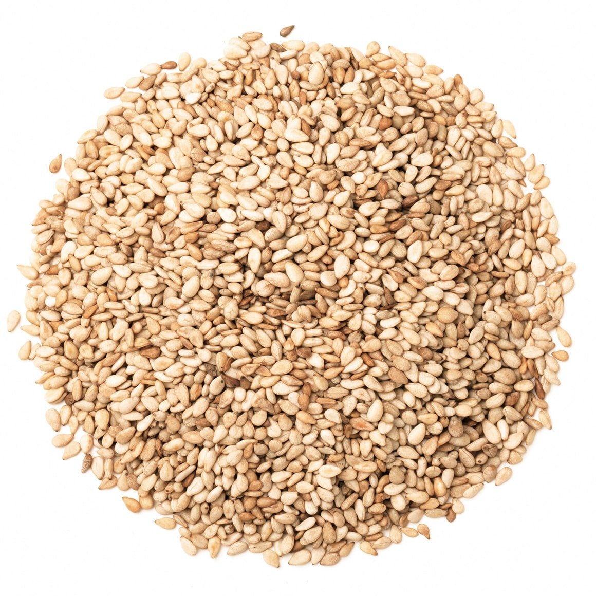 Natural Sesame Seeds Supplier India Mahuva Gujarat
