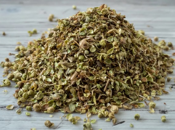 Oregano India