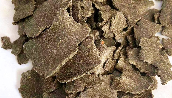 Rapeseed Meal Canola DOC Cattle Feed Export Mahuva Gujarat India