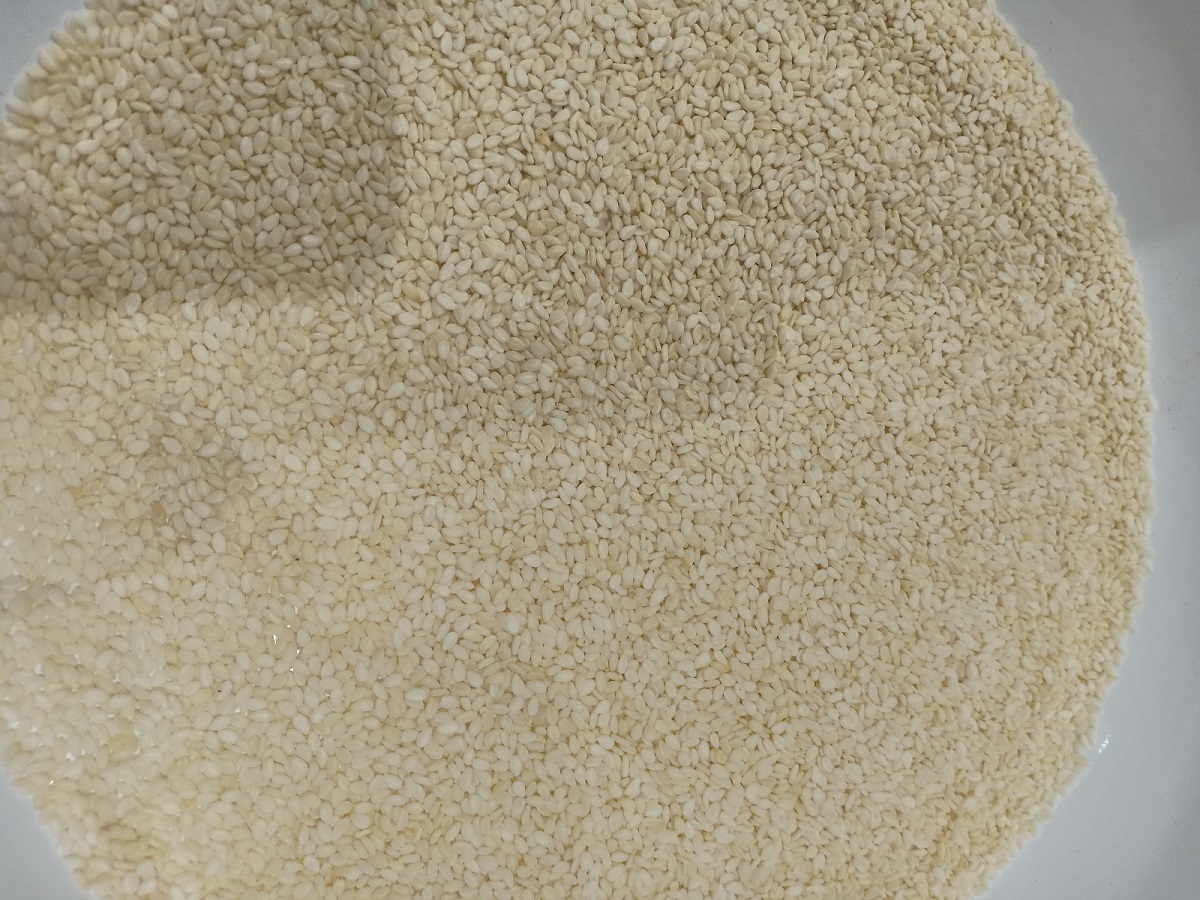 Sesame seeds white black hulled natural exporter from Mahuva Gujarat India for bakery oil tahini