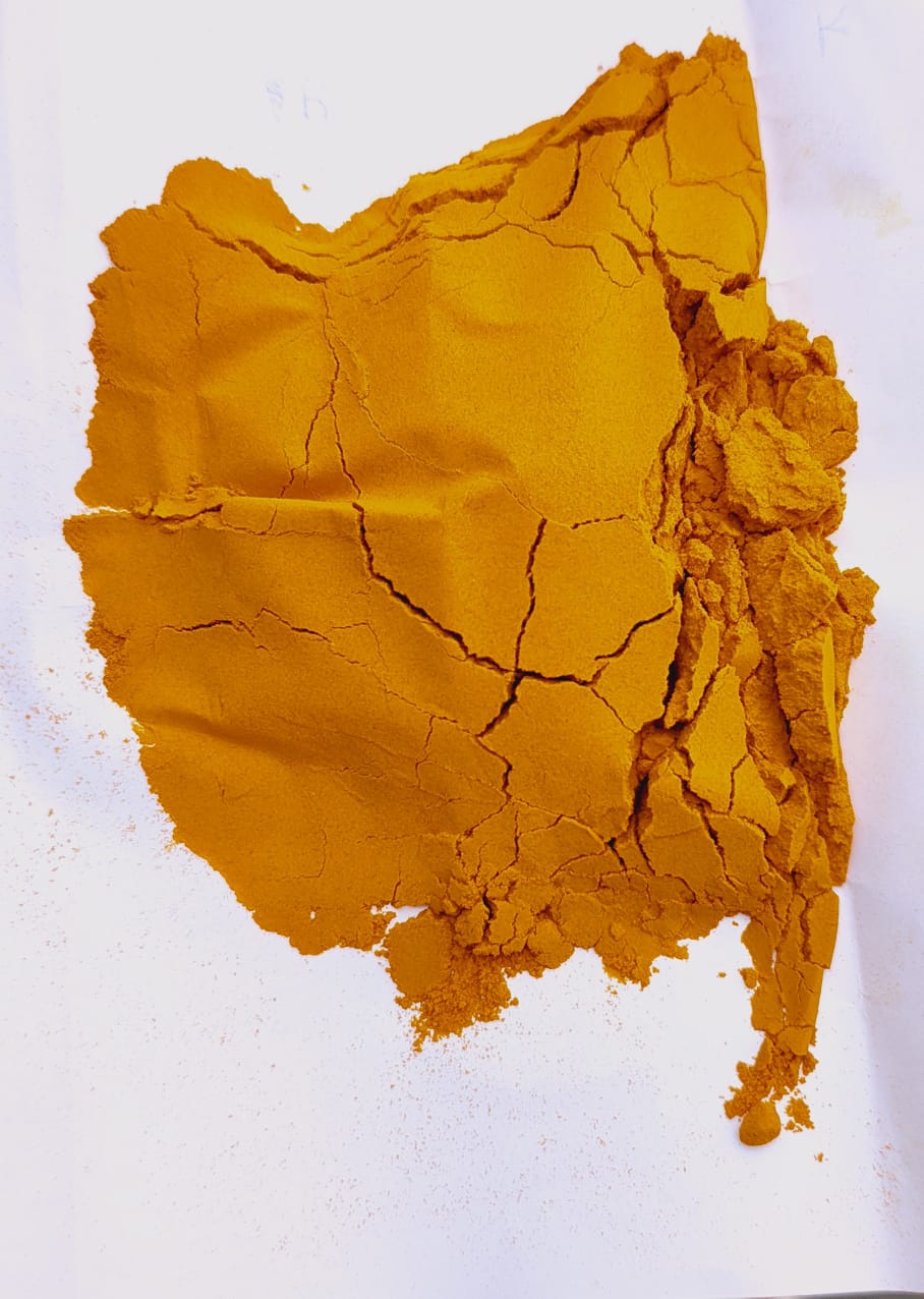 Turmeric Powder Mahuva Gujarat India Haldi Curcuma